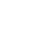 Certified chimney sweep